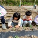 성가정어린이집 이미지