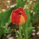 연지공원2 이미지