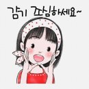 12월2일 화요일 충방 출석부 이미지