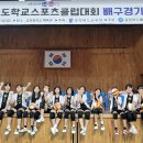 충주중앙탑초 이미지