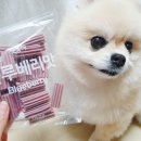 이가소프트 이미지