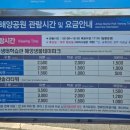 테마와 하루(해양생태 체험) 네이버블로그