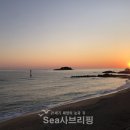 천진sea 이미지
