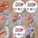 봄꽃햄스터 이미지