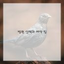 바른움직임 이미지