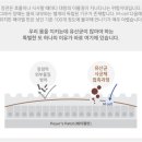 청담더약국 네이버블로그