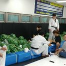 에이스 승무 태권도 이미지