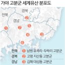 가야 - 제주시 | 가야