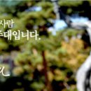 세종대학교 경영전문대학원 이미지