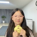 민경아어학원 | 하루살이