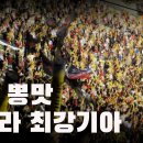 2024 KBO 한국시리즈 진출 두 팀의 응원가🎤 외쳐라 최강기아🐯 VS 엘도라도🦁 이미지