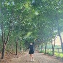 풍년아그로 이미지