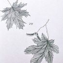 홍민농장 이미지