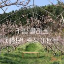 탐나는우드카빙 이미지