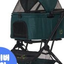 세인트펫