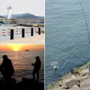 바다와소나무 펜션 이미지