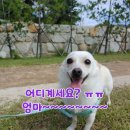 동석농장 이미지