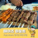 필승카서비스 | 타슈켄트 침간산 차르박호수 근처 샤슬릭 맛집 추천 :: 페이즈 마운트 (Fayz Mount)