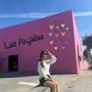 페임스튜디오 | L.A 여행 1편 로스엔젤레스(할리우드 사인, 할리우드 거리&돌비 씨어터&워크오브페임, 폴 스미스 핑크 월)