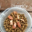 셰프의 펫방앗간 이미지