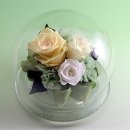 행복그자리 이미지