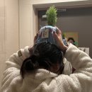 태화강순두부 이미지