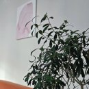리베르공인중개사사무소 네이버블로그