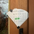 법환동-18 이미지