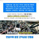 (주) 뉴빛 이미지