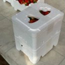 광석농장 이미지