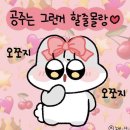 [연남]커피 오마카세 &#34;펠른&#34; 시즌12 솔직 후기 | 연남동 데이트 추천 코스