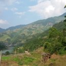 계림마을 이미지