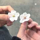 일번가노래연습장 | ˖⁺˖행복하게 해줄께요˖◛⁺˖♡