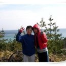 콘도식 민박 이미지