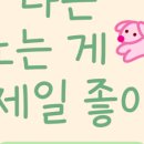 행복한댕댕이 네이버블로그