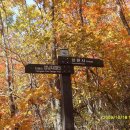 상원사샘터 이미지