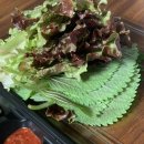 [경기광주]신현리 장수마을 뼈해장국 2인 세트 배달 후기