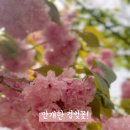 (주)척산온천휴양촌 이미지