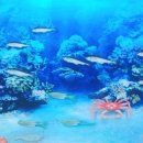 진두마을 이미지