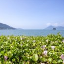 앵강만식당 이미지