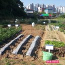 버들농장 이미지