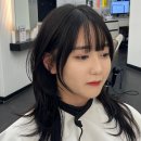허쉬헤어뱅