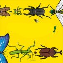 (10월)동화속 어른 놀이터 2탄 곤충이야기 이미지