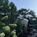 선수촌제일공인중개사사무소 이미지