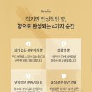 리바이브 | 르프로우에센셜오일 리바이브 내돈내산 후기 | 상큼한 오렌지에센셜오일 아로마오일추천