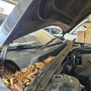 서라벌 타이어·정비 이미지