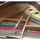 신월동185 이미지