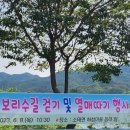 오량천 이미지