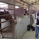 인천남동승마클럽 이미지