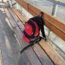 양평읍 자전거 도로(중앙로) | 혼자 떠난 5박 6일 내맘대로 제주여행✈️🌊 (1/2)